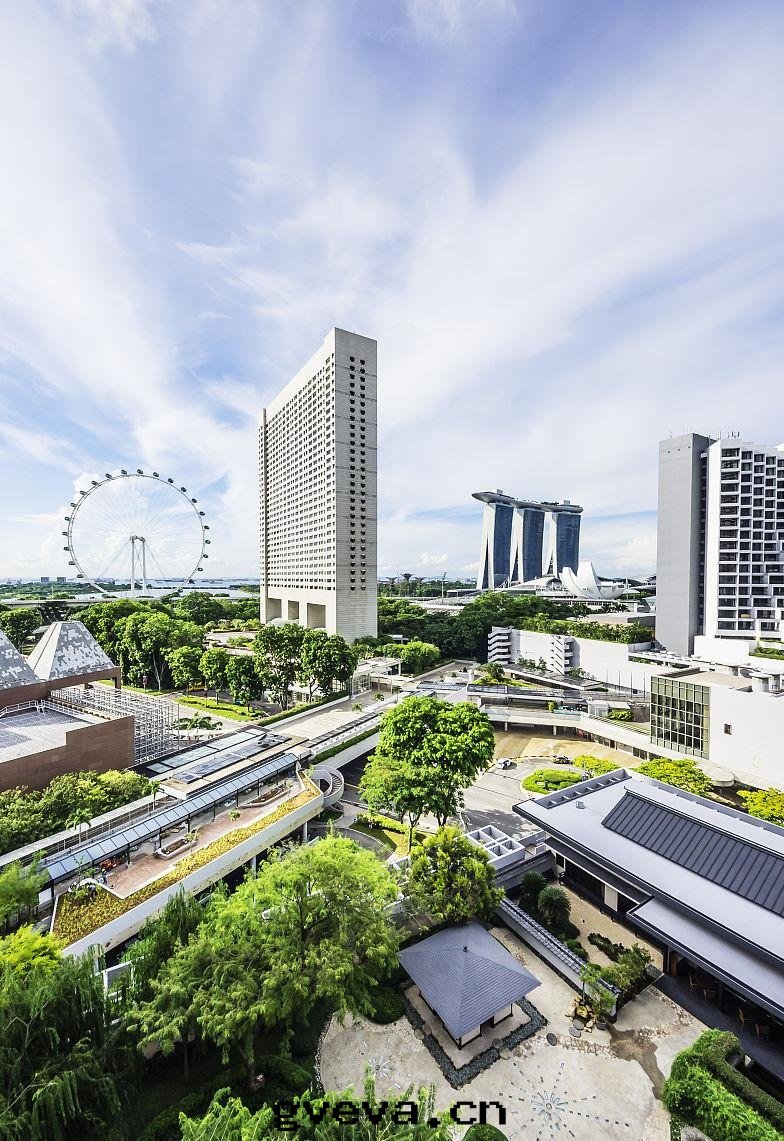 管(guǎn)理(lǐ)優勢